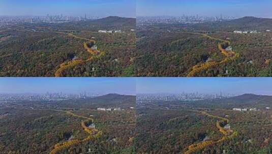 江苏南京中山陵灵山风景区音乐台秋色航拍高清在线视频素材下载