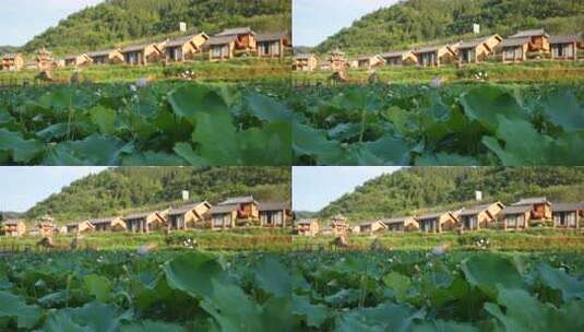 荷花池边的特色木屋建筑群高清在线视频素材下载