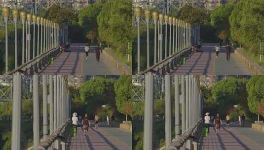 6K夏日河堤晨跑一组高清在线视频素材下载