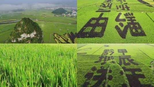 4k 航拍田野高清在线视频素材下载