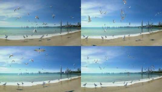 三维海边海鸥海滨城市动画高清在线视频素材下载