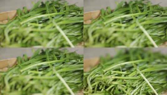 清洗浸泡韭菜 (2)高清在线视频素材下载