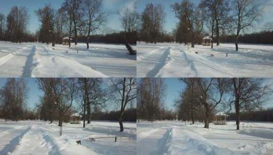 落满积雪的森林高清在线视频素材下载