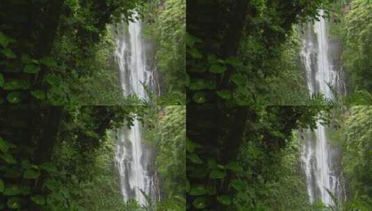 热带瀑布流经夏威夷茂密的雨林高清在线视频素材下载