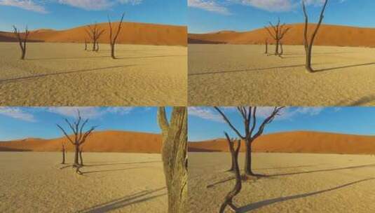 干旱的沙漠特写高清在线视频素材下载