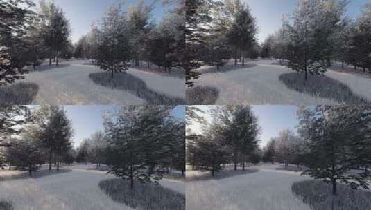 树林雪景高清在线视频素材下载