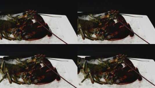 烹调前加冰的龙虾高清在线视频素材下载