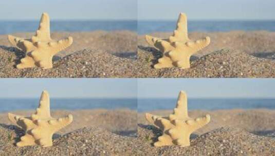 沙子里的星形贝壳高清在线视频素材下载