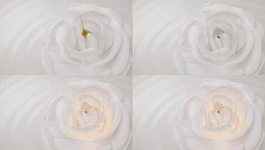 精华液滴玫瑰花激发活性因子美容护肤素材高清在线视频素材下载