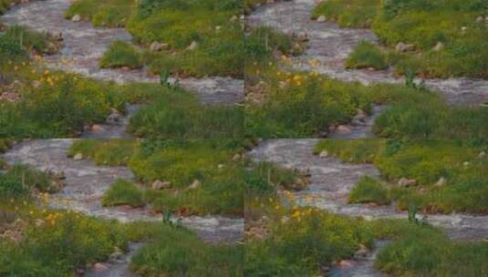 原生态草原溪流自然风光高清在线视频素材下载