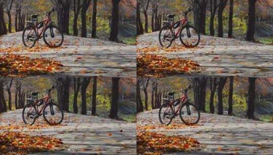 秋天森林树木落叶小道上停放的自行车高清在线视频素材下载