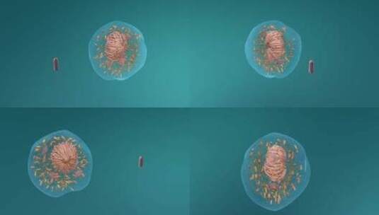 医学微观生物病毒细胞形态医疗三维动画展示高清在线视频素材下载