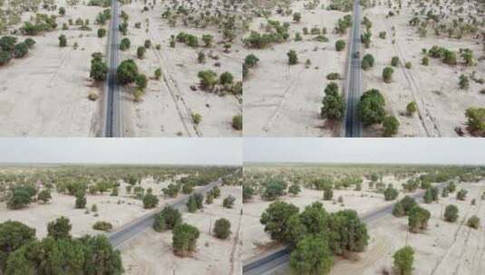胡杨林沙漠公路高清在线视频素材下载