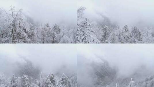 冬季山林雪景迷雾高清在线视频素材下载