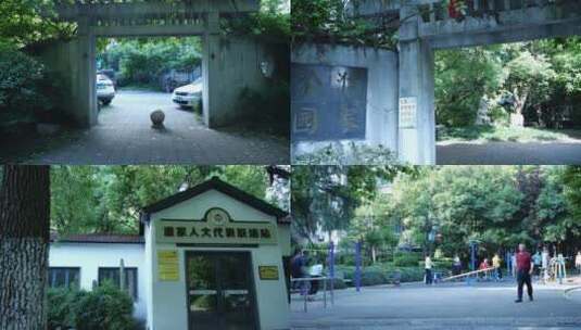 杭州江干区濮家公园4K视频合集高清在线视频素材下载