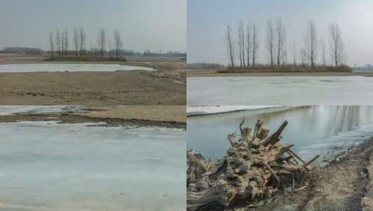 湿地春季冰雪河流融化春风大风东北蒲河枯树高清在线视频素材下载