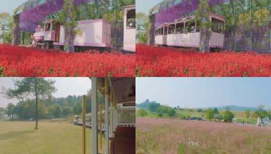 武汉木兰草原风景区小火车和草原风光高清在线视频素材下载