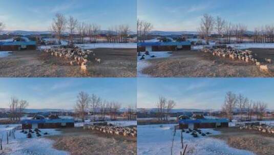 航拍内蒙古特泥河农场版画雪村高清在线视频素材下载