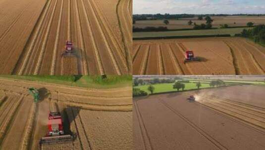 航拍大型收割机收割麦子小麦丰收农业高清在线视频素材下载