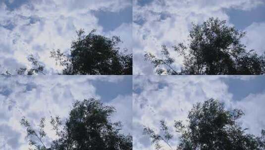 蓝天白云树木摇摆高清在线视频素材下载