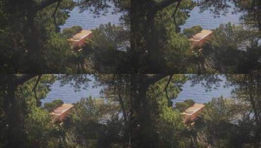 别墅后的树木高清在线视频素材下载