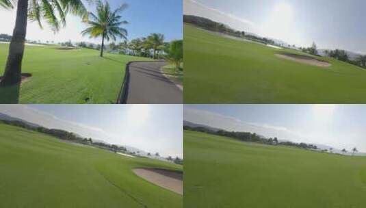 穿越机 高尔夫 草坪 椰子树 二 1高清在线视频素材下载
