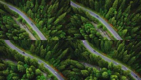 林间公路、汽车行驶在林间公路、盘山公路高清在线视频素材下载