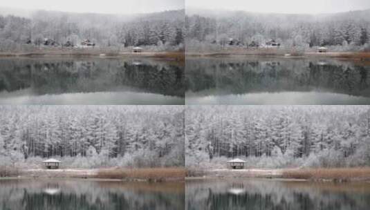 冬天的湖冬季湖湖上雪景高清在线视频素材下载