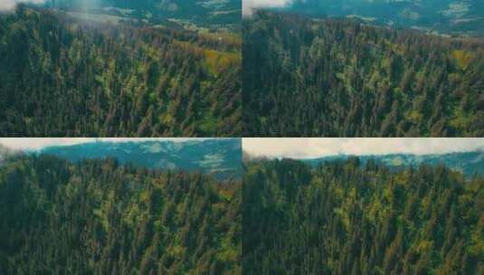 航拍高原山脉针叶林风景高清在线视频素材下载