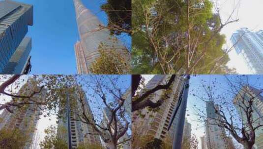 透过树枝叶子仰望高楼大厦陆家嘴风景视频素高清在线视频素材下载
