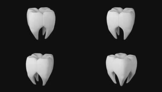 磨牙旋转背景与无缝循环3D渲染动画。健康高清在线视频素材下载