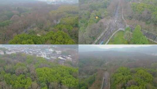 杭州植物园春天风景视频素材航拍高清在线视频素材下载