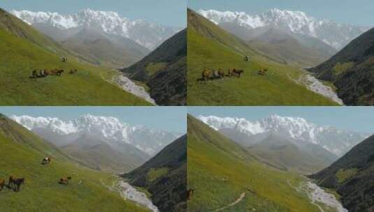 4k风景新疆夏天雪山河流马群高清在线视频素材下载
