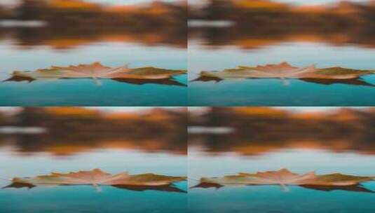 水面上漂浮的枫叶梧桐叶高清在线视频素材下载