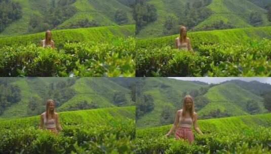 一名年轻女子参观高地茶园的照片。新鲜的茶高清在线视频素材下载