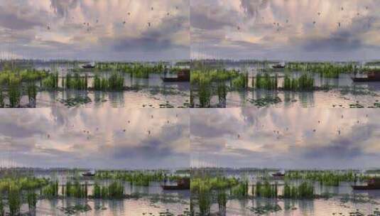 捕鱼湿地公园白鹭鸟三维动画高清在线视频素材下载