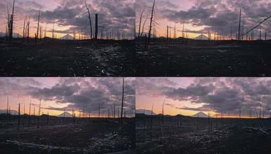 火山上荒无人烟的树林高清在线视频素材下载