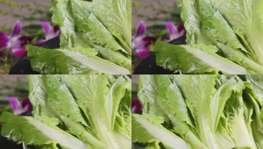 青菜小白菜菜叶叶子蔬菜高清在线视频素材下载