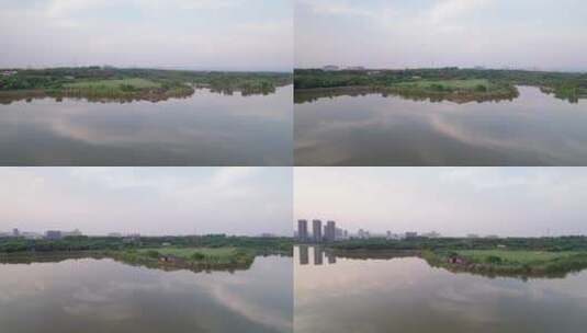 成都青龙湖湿地公园高清在线视频素材下载