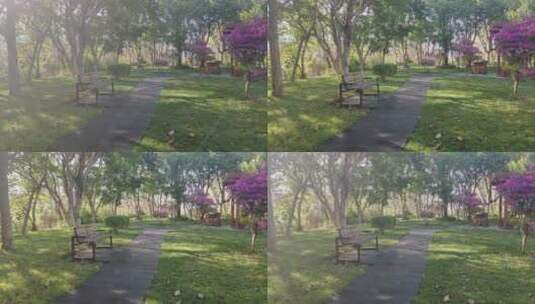 公园长椅安静的早晨阳光丁达尔效应唯美高清在线视频素材下载