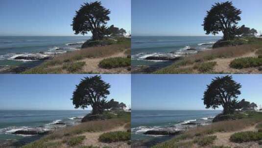 海浪拍打着加州海岸高清在线视频素材下载