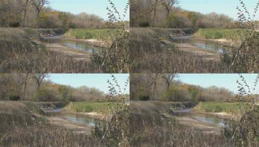 河流两边的树木场景高清在线视频素材下载