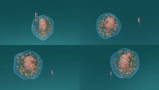 医学微观生物病毒细胞形态医疗三维动画展示高清在线视频素材下载