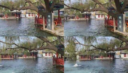 济南章丘百脉泉，泉水喷涌场面壮观高清在线视频素材下载