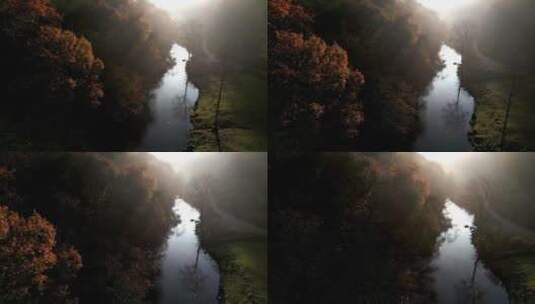 森林河流秋色航拍高清在线视频素材下载