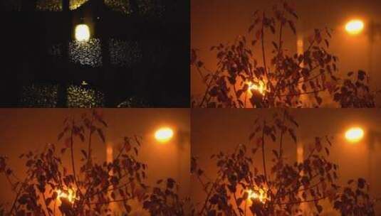 雨天夜晚小区树叶路灯高清在线视频素材下载