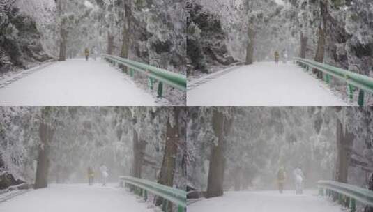 雾淞 雪景 看雪高清在线视频素材下载