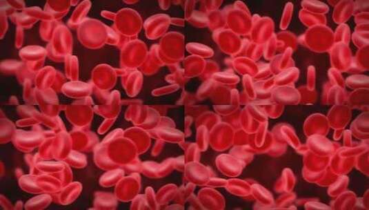 血红细胞高清在线视频素材下载