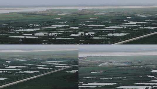 陕西合阳黄河滩涂鱼池莲菜池【套组】高清在线视频素材下载