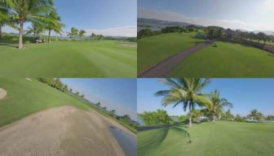 穿越机 高尔夫 草坪 椰子树 二 2高清在线视频素材下载
